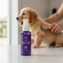 Hydra Expert Glossy Repair 130ml Estética Cães E Gatos