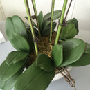 Arranjo De Orquídeas Artificiais De Alto Grau, Látex 3Dprint, Tamanho Grande, Flor De Mesa, Decoração Em Casa, Sem Vaso, 1 Conjunto