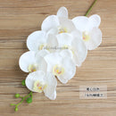 Arranjo De Orquídeas Artificiais De Alto Grau, Látex 3Dprint, Tamanho Grande, Flor De Mesa, Decoração Em Casa, Sem Vaso, 1 Conjunto