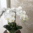 Arranjo De Orquídeas Artificiais De Alto Grau, Látex 3Dprint, Tamanho Grande, Flor De Mesa, Decoração Em Casa, Sem Vaso, 1 Conjunto