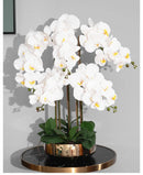 Arranjo De Orquídeas Artificiais De Alto Grau, Látex 3Dprint, Tamanho Grande, Flor De Mesa, Decoração Em Casa, Sem Vaso, 1 Conjunto