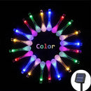 50227430326440|50227430359208|50227430621352|50227430785192