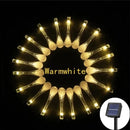 50227430490280|50227430555816|50227430686888|50227430719656