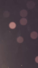 Ração Premium Nova Kettymil Prime Para Gatos Castrados